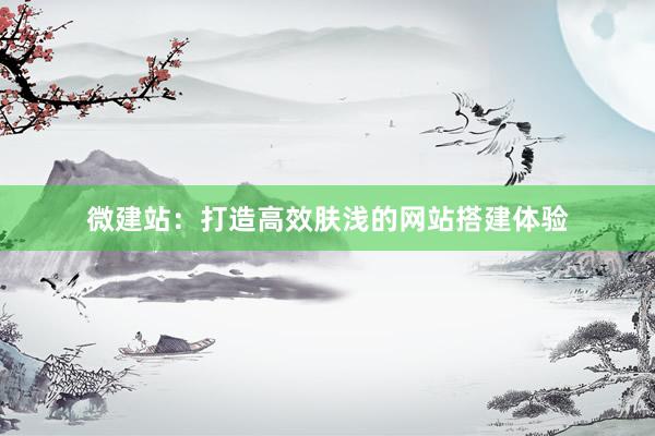 微建站：打造高效肤浅的网站搭建体验