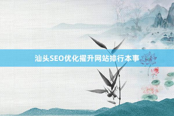汕头SEO优化擢升网站排行本事