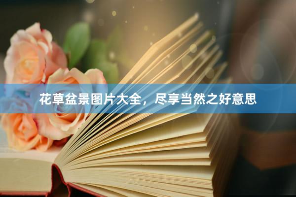 花草盆景图片大全，尽享当然之好意思