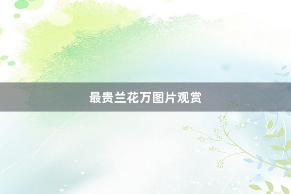最贵兰花万图片观赏