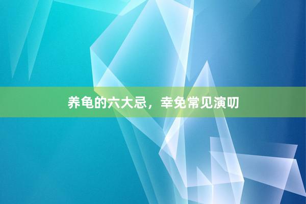养龟的六大忌，幸免常见演叨